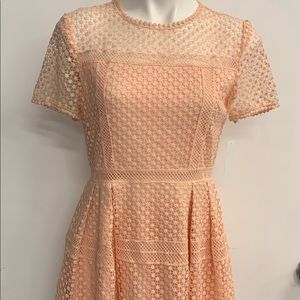 NWT: Aqua lace fit dress